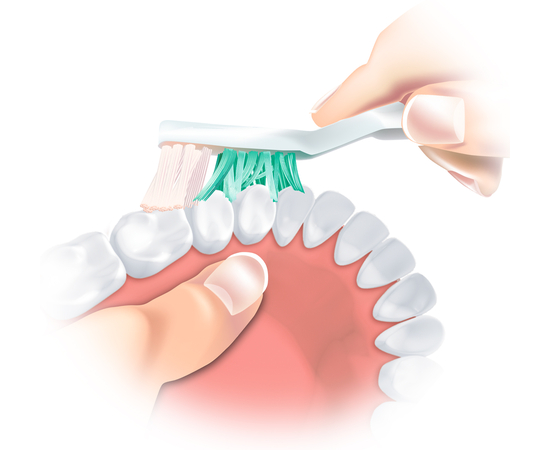 TRISA Denture Brush Щетка для зубных протезов, Цвет: Зеленый, изображение 3